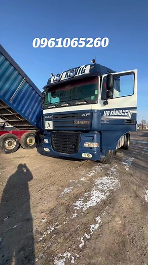DAF 105 #обзор #розборка #популярное #тренд #