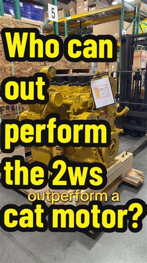 Debating the Best Motor: Cat vs 2WS