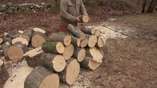 Roger demonstrates how to cut down a dangerous tree safely and with the help of a trained professional. | This Old House