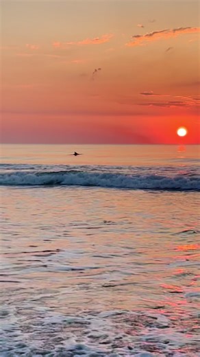 Sunrise at the beach with dolphins! ☀️🐬 #beach #ocean #sunrise