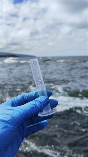 Exploring Marine Microorganisms Under the Microscope