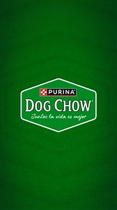 🐶 Eleva el sabor de sus comidas con la combinación perfecta: croquetas alimento húmedo Dog Chow® | Purina Dog Chow Centroamérica
