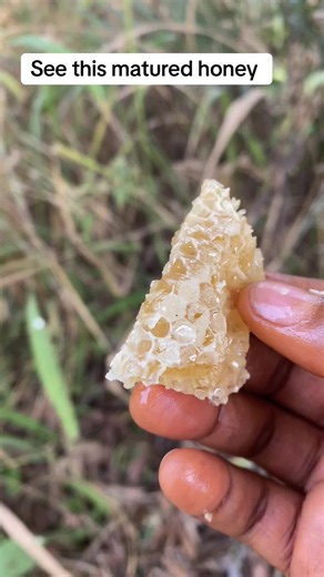 Capped honey a very ready honey #beekeeper #originalhoney