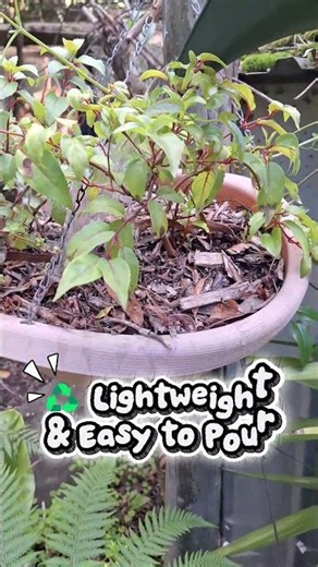 🌿 Watering hanging plants doesn't have to be awkward! 💧