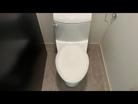 Best Gravity Toilet On The Market: 2019 American Standard Champion 4 One Piece