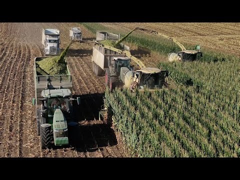 Corn Silage Harvest 2025 | Klein’s Custom Chopping with Krone Power