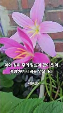 이와 같이 주의 말씀이 힘이 있어 흥왕하여 세력을 얻으니라 사도행전 19장 20절