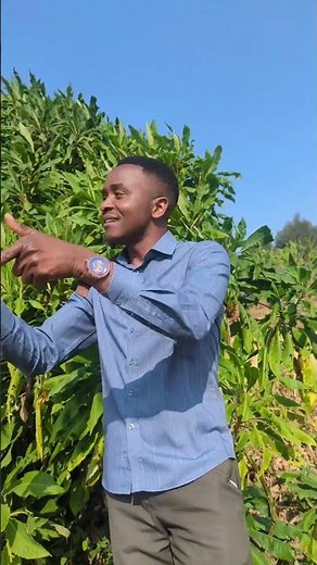 Yesu Unipendae Tenzi Za Rohoni #gospelmusic #duet #duet #africa #love