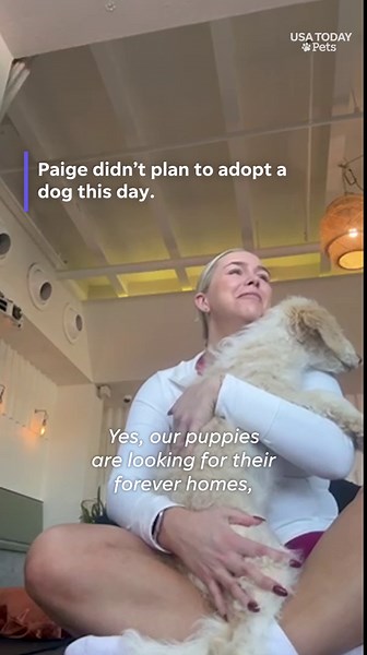 Woman meets puppy soulmate during yoga class