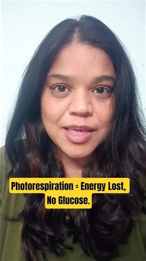 Why Is Photorespiration Wasteful?