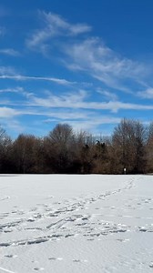 The Viper 64mm EDF was designed for the park flyer who has the need for speed! Its size is just big enough to maintain a larger presence in the air while also allowing it to fly in more places and smaller spaces! #horizonhobby #efliterc #viperjet #rcjet #rc #radiocontrol | E-flite