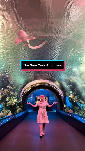 Katja Sherlock on TikTok