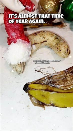 Indian christmas music