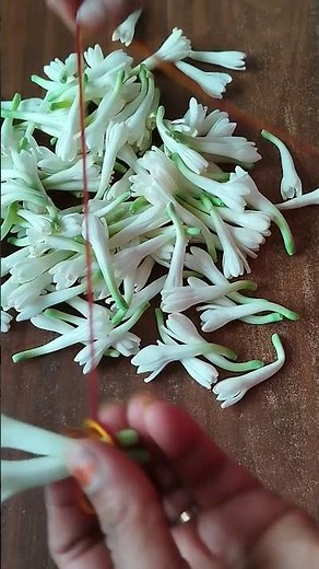 எளிமையான சம்பங்கி மாலையை சுலபமாக கட்டுவது எப்படி? #garlandmaking #maalai #sampangi