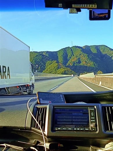 Turtles jr JAPAN TOUR 2024 #explore #japan #roadtrip #turtlesjr #myexperience