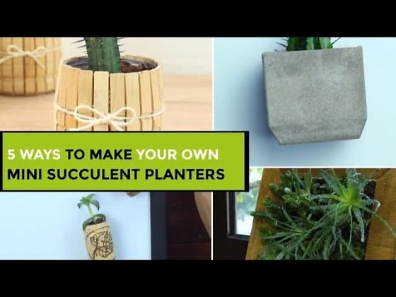 5 ways to make your own mini succulent planters
