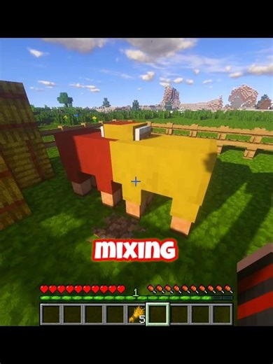 Minecraft Baby Sheep Moment 😍