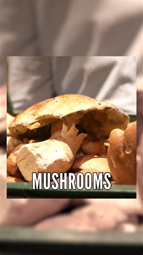 4.1K views · 37 reactions | EMTBs Unlock A Whole New World!  What's your dream riding location?! . . #embn #mtb #emtb #electricmountainbikenetwork #adventure #views #emtbepic #epicride | Electric Mountain Bike Network | Facebook