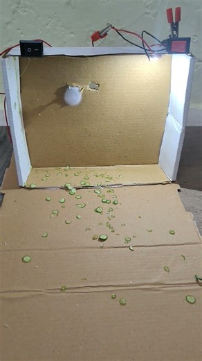 mini chopper #shortvideo