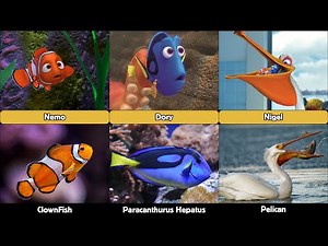 Finding Nemo Characters in Real Life