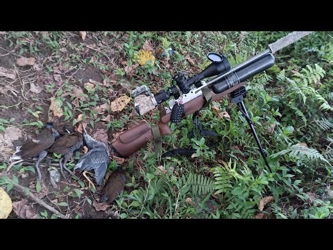 New Hunting spot with Gcmag NB17 CApellet