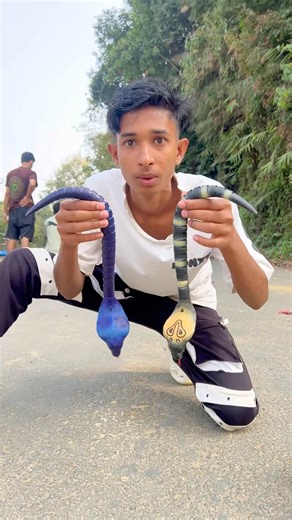 New Rc Crocodile attack🐊 And 2 Ta snake deko🔥