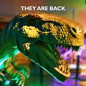 The Mind Museum on Reels