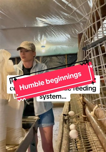 #throwback #feed #farmlife #animals #insta #fypシ #quail