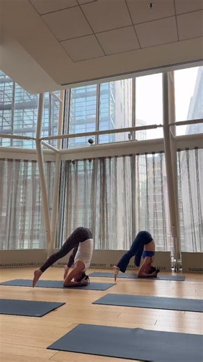 signe santosha yoga on Instagram: "working inversion control + core compression? try this: • headstand straddle leg lifts • headstand pike → dolphin • dolphin → downward dog • jump forward • halfway lift → forward fold • extended mountain pose (heart opening variation) • forward fold this flow builds shoulder stability, deep core strength, and hip flexor control while keeping the hamstrings long :) moving slowly through the transitions helps you actually feel where the work is happening, strengt