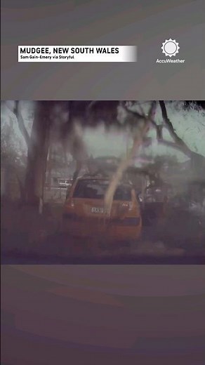 Heart-Stopping Escape: Lightning Causes Tree to Explode Onto Car
