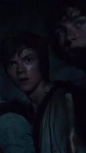 Surviving in the Maze: Thomas and Newt's Story