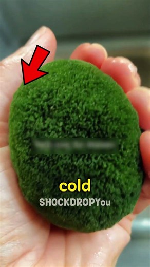 Straight Up Useless Things In Japan 🇯🇵 🤯 #japanthings #japaneseculture #viral #usa