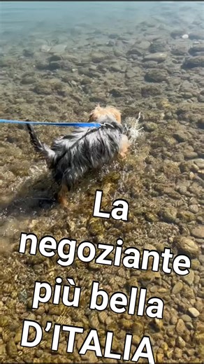 Video di Francesca Enea (@francesca.enea0) con original sound - funny.mey - funny.mey19