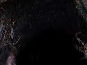 The Descent 2 REALLY SHOCKING SCENE