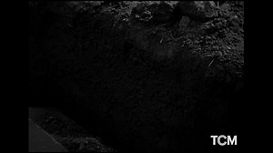 31K views · 2.4K reactions | At first reluctant to take on a follow-up to his highly successful FRANKENSTEIN ('31), director James Whale finally gave in to the demands of Universal. BRIDE OF FRANKENSTEIN ('35) shines as an inventive, atmospheric, and slyly humorous movie in the studio's horror canon. | Turner Classic Movies: TCM | Facebook