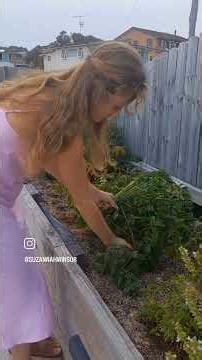 Pho! Recipe in description 😋 #pho #herbs #nutritionaltherapy #phytonutrients