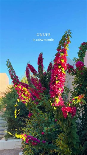 Crete, Greece | Summer Travel Inspiration 🕊️