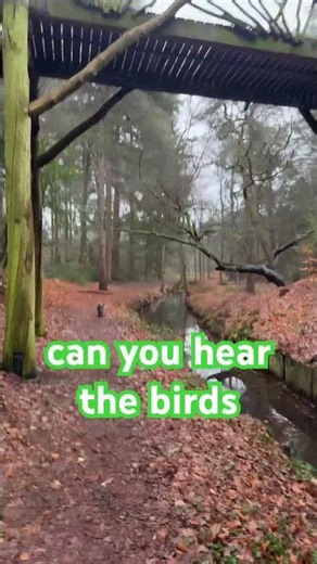 Listen in: spring has sprung! ￼