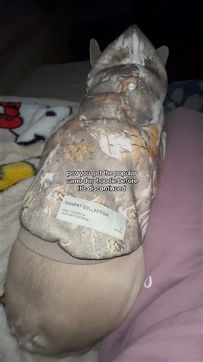 #petessentials #musthaves #frenchbulldog