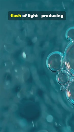 This Tiny Shrimp Shoots Bullets Underwater #animals #nature #shorts