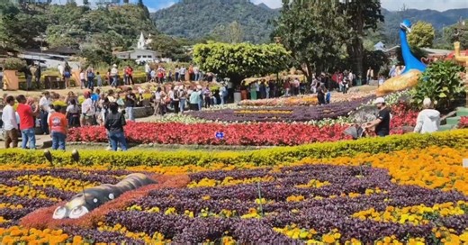 Activan operativo de seguridad  para la feria de las Flores y el Café en Boquete