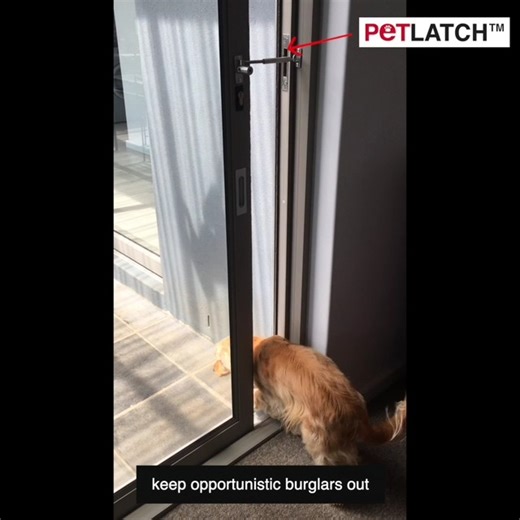 🔒 keep doors open but locked with PetLatch 🐕 ✅ see https://llr-i.com/product/petlatch/ 💪 | LockLatch USA