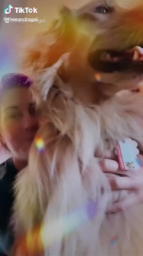 Sandra Gal (@sandra.gal8)’s videos with original sound - Sandra Gal