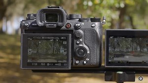 10 Pros and Cons of the Sony a1 Mirrorless Camera