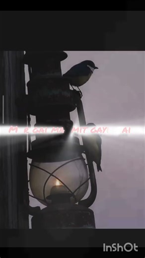 tune kya kar dala mar gai me mit hai me