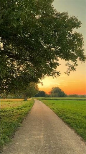 This Peaceful Sunset Road Will Relax Your Mind
