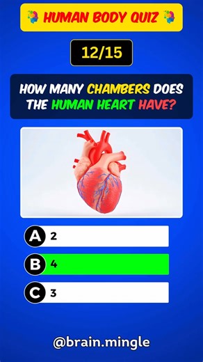 Human body quiz 易 #humanbody #human #anatomy #fyp #humanlife | Quiz Aama | Facebook