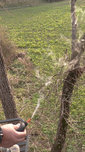 41K views · 124 reactions | Smoke a little smoke! - WYNDSCENT | Backwoods Life | Facebook