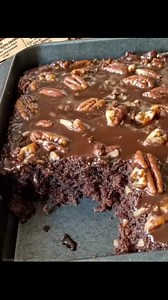 "I brought this cake to my neighbor’s house, and before we even finished our coffee she was already asking for the recipe. I told her I'd send it to her later." Full Recipe 💬 👇 | Whisker Tales