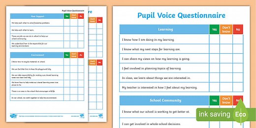 Pupil Voice Questionnaire Form
